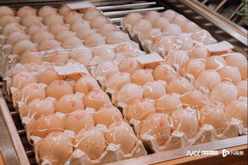 全國(guó)基地直采助力 百千萬工程 錢大媽帶動(dòng)農(nóng)產(chǎn)品出山入灣