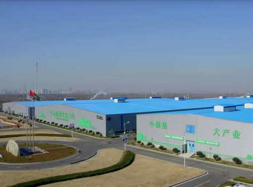 從煤炭到金針菇 電石產(chǎn)業(yè)轉(zhuǎn)型中的食用菌超級工廠