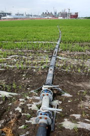 天業(yè)大力使用低汞觸媒，敢當(dāng)中國氯堿行業(yè)無汞化的探路先鋒